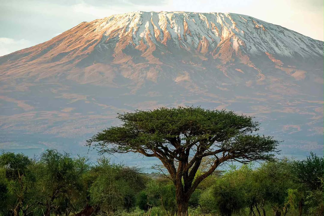 Kilimanjaro, Roof of Africa