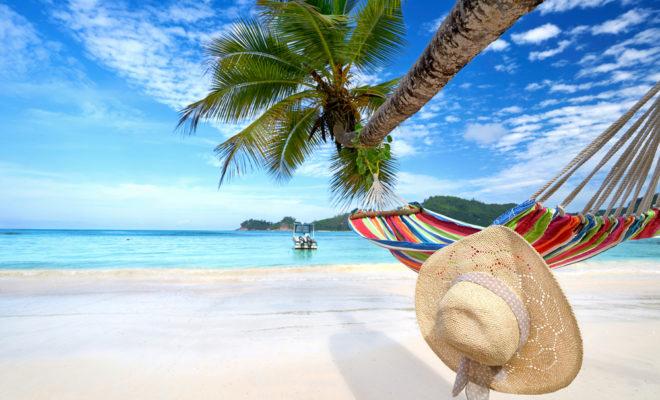 An island afternoon beneath the palms