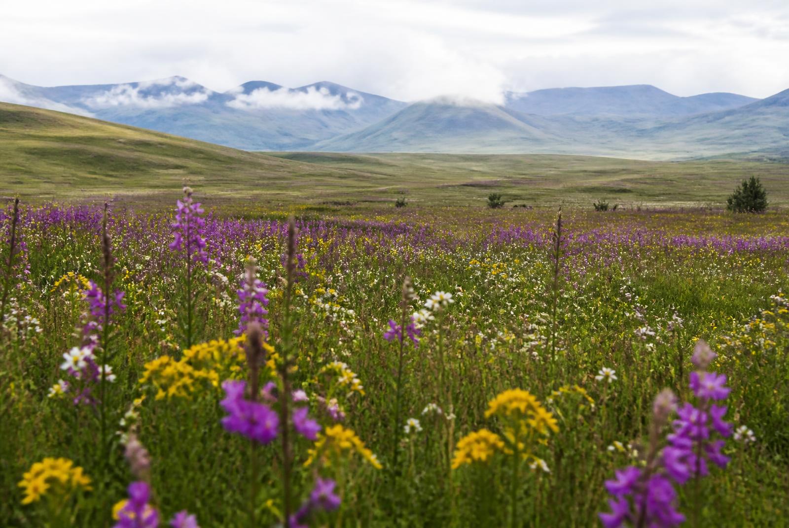 Kitulo National Park