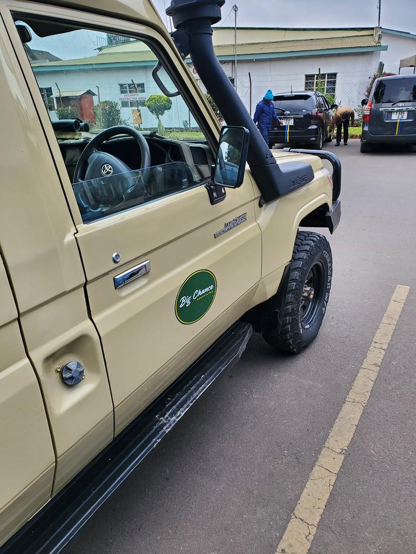 Ready for another day in the wild