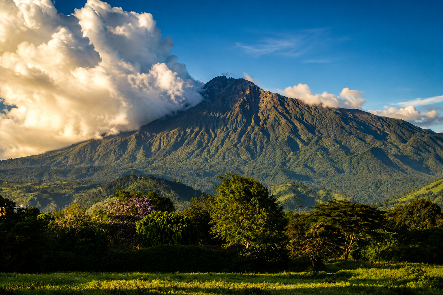 Arusha National Park