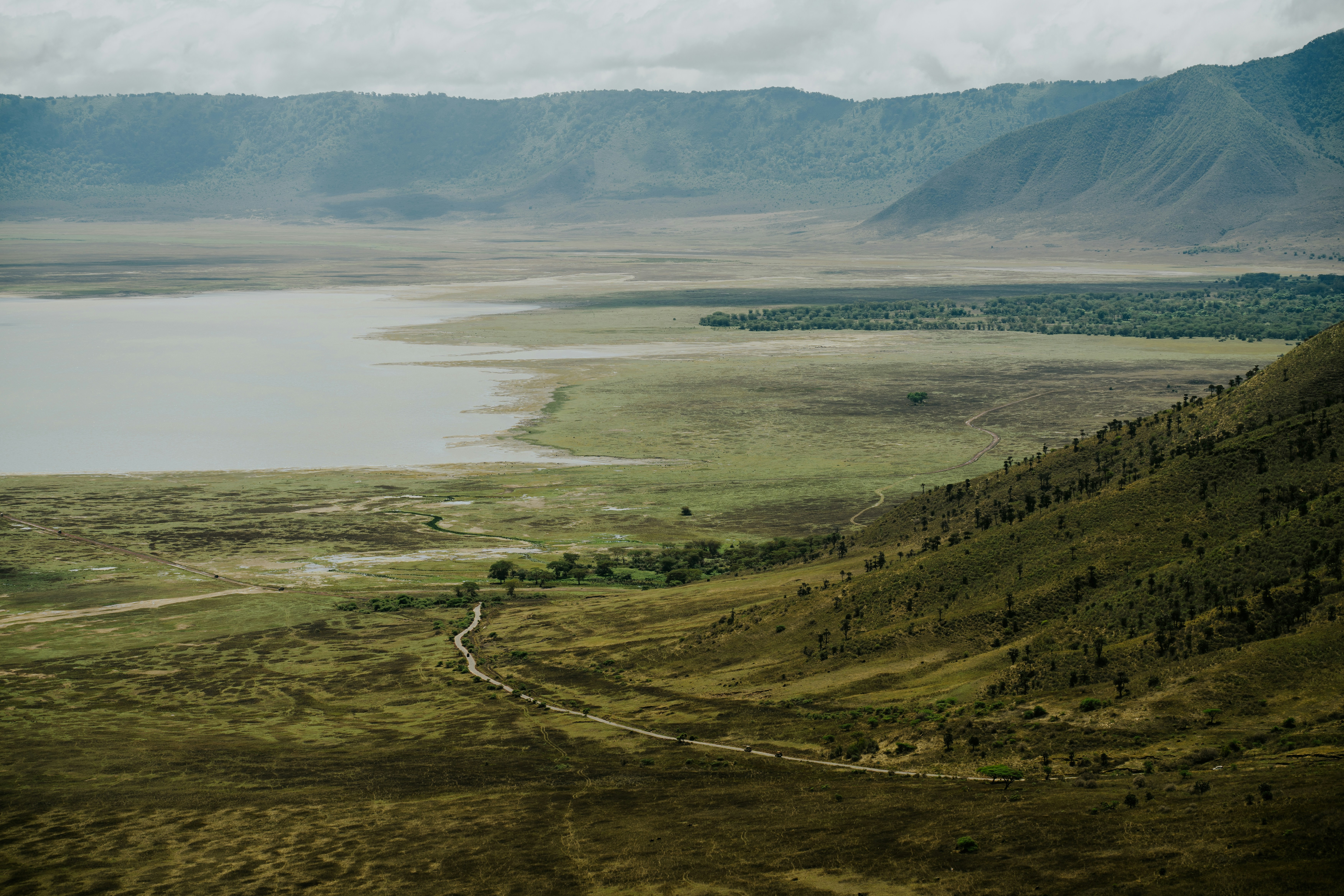 Ngorongoro, Crater Highlands