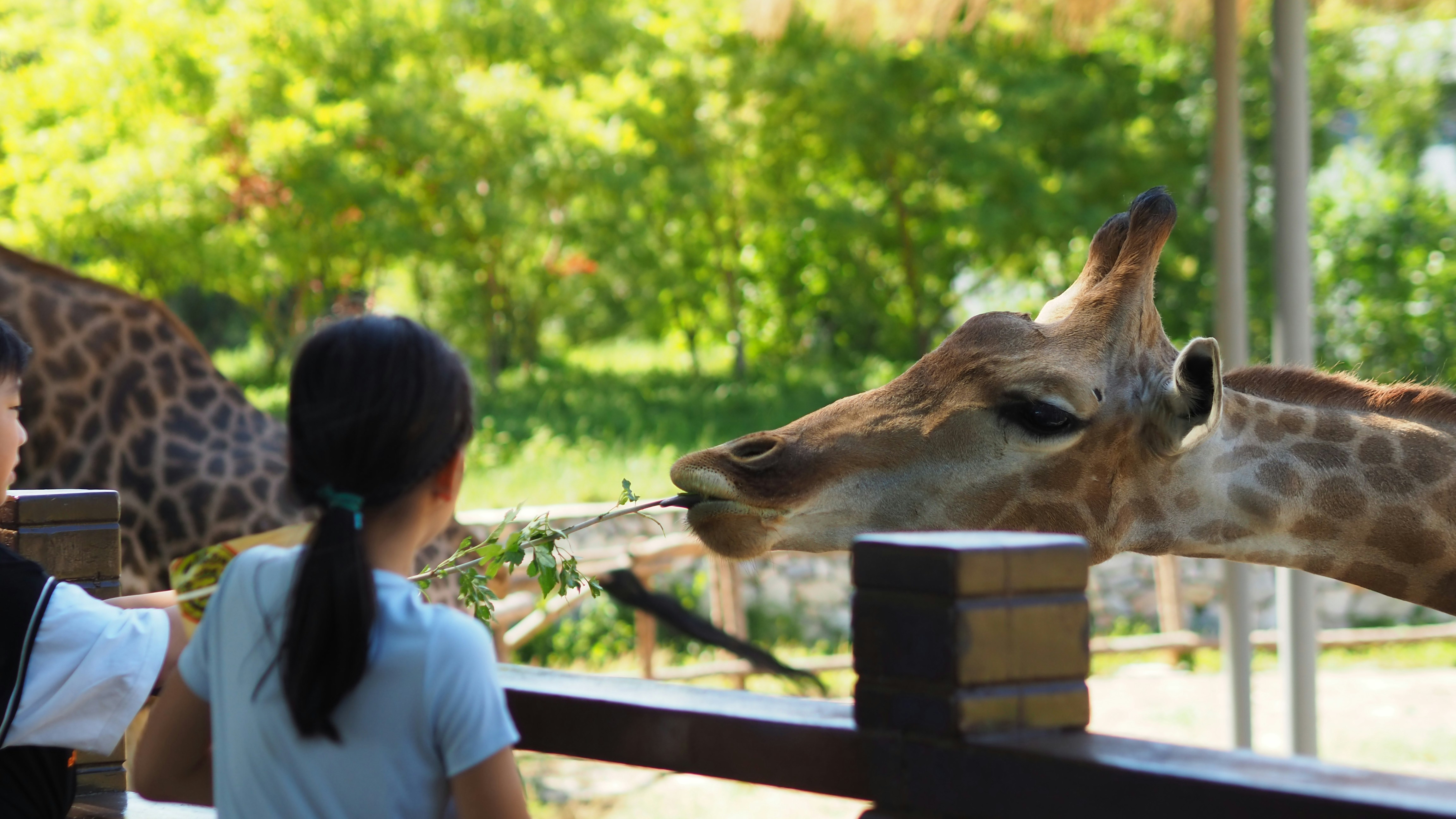 5 Days Natural Zoo & Wildlife Adventure