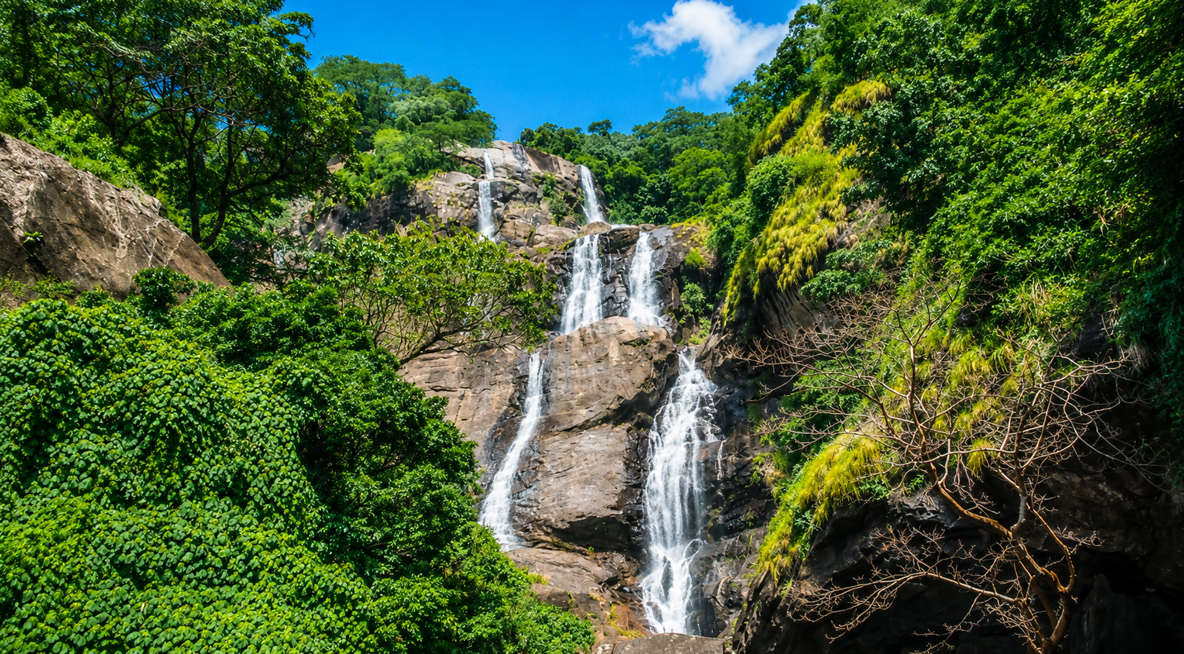 Udzungwa Mountains National Park