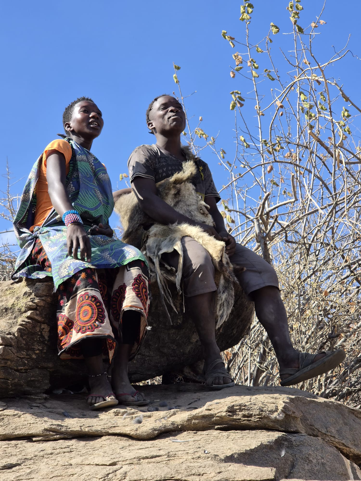 A safari pause on the kopjes
