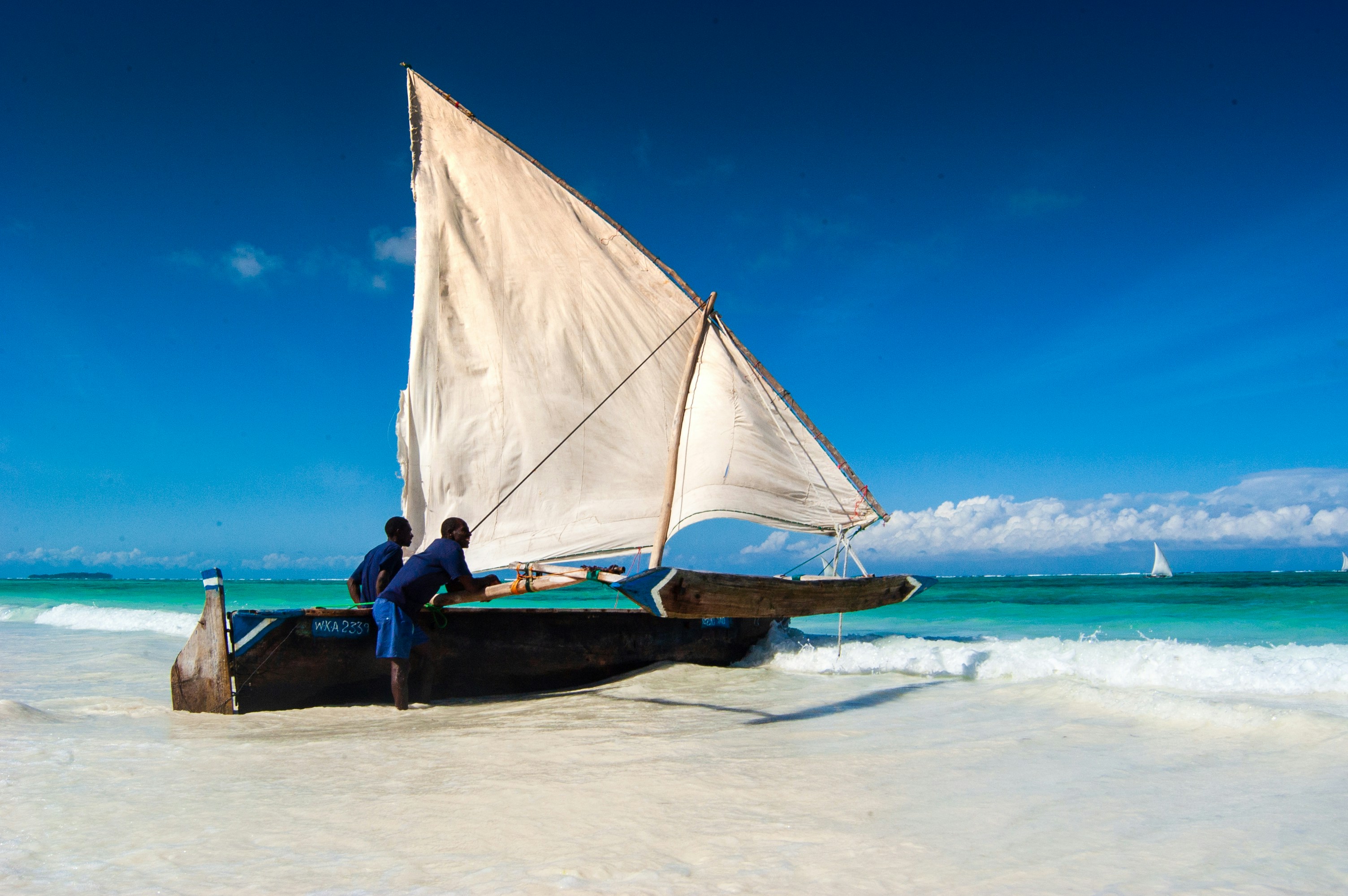 Dhow sails at golden hour