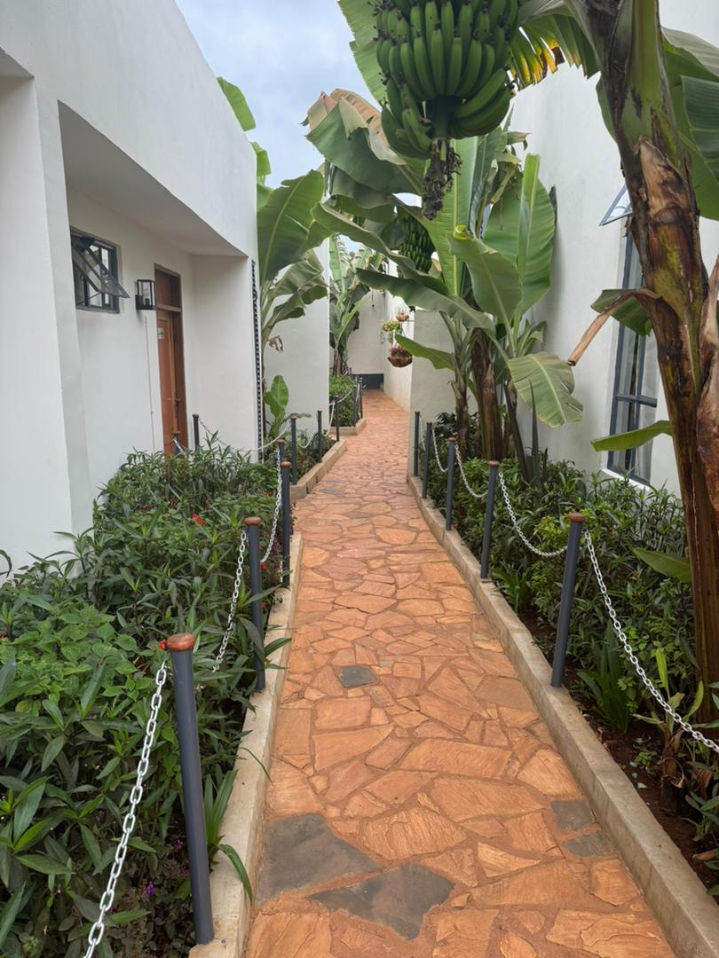 A quiet garden path at the lodge