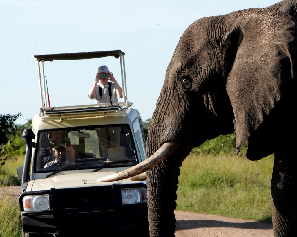 Ruaha National Park