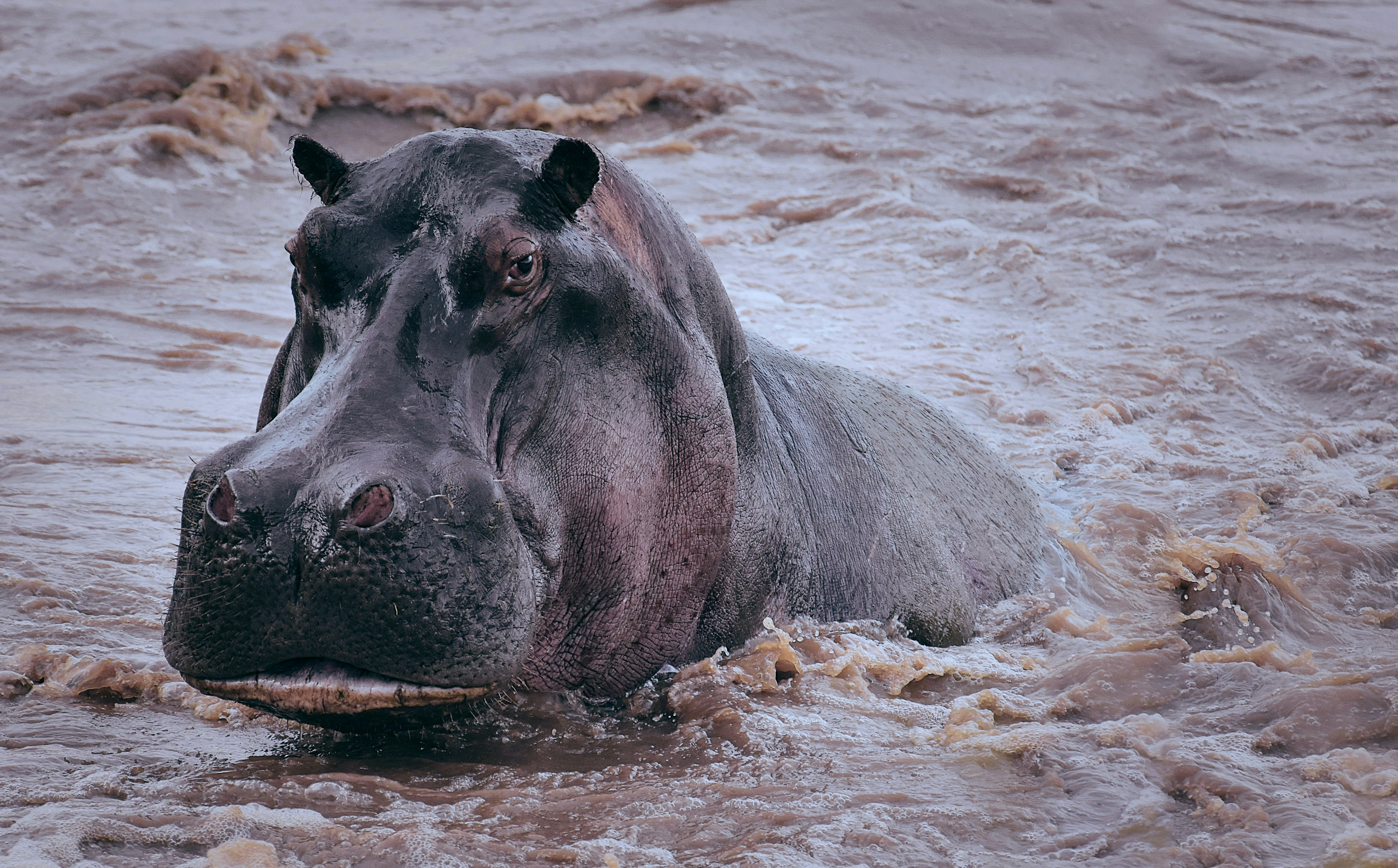 7 Days Migration Tour to Mara River