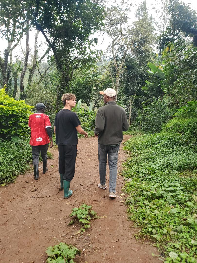 Walking beneath the forest canopy
